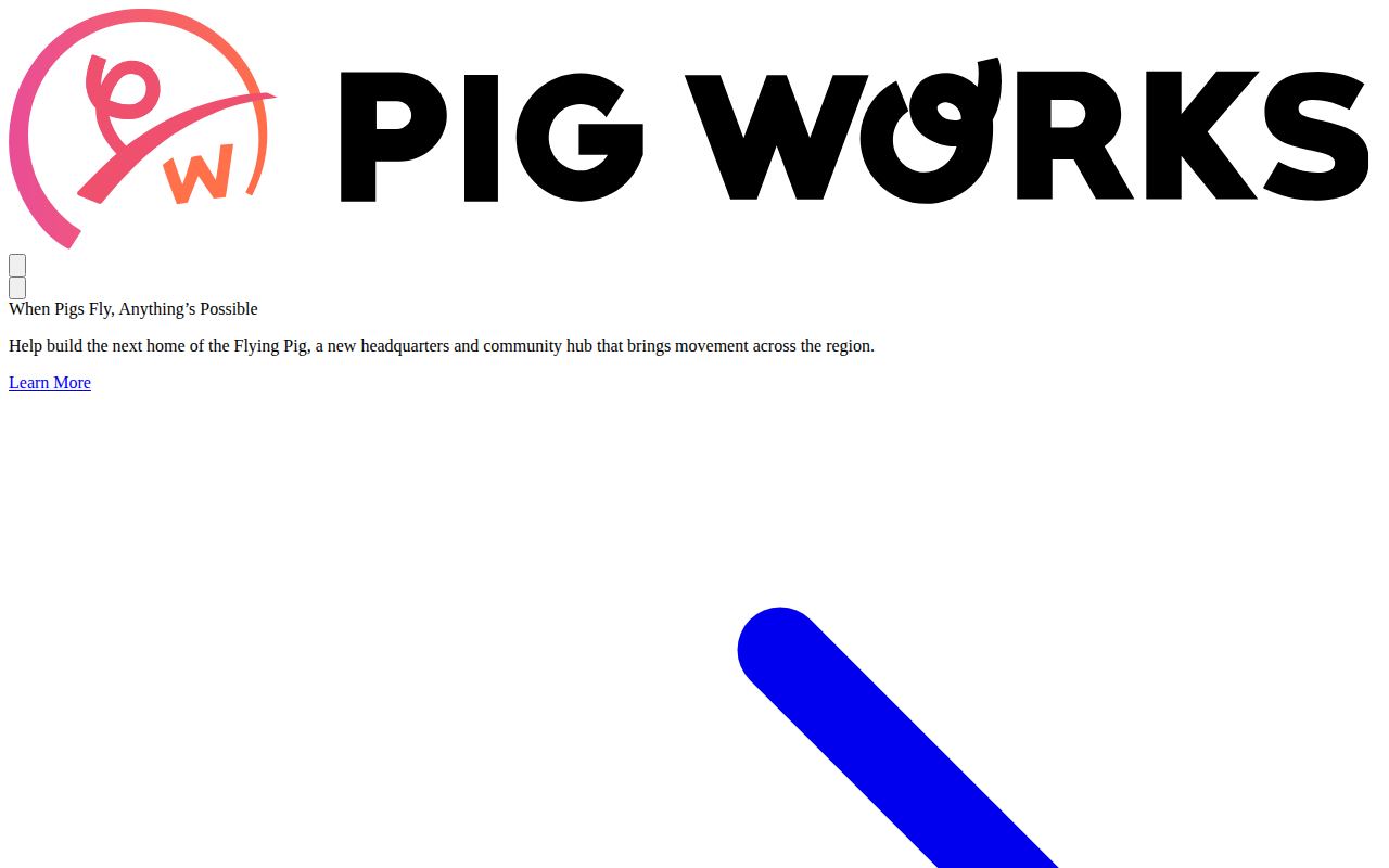 Flying Pig Marathon