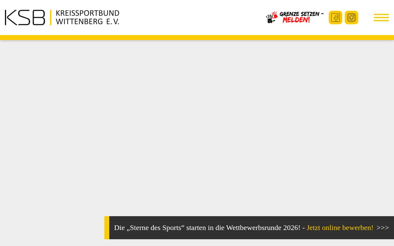 Wittenberger Nachtlauf