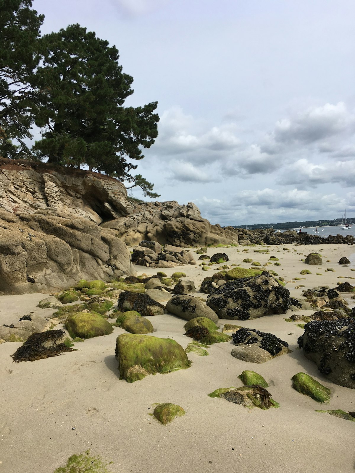 L'Ultra Marin : L'ultra-trail mythique du Golfe du Morbihan